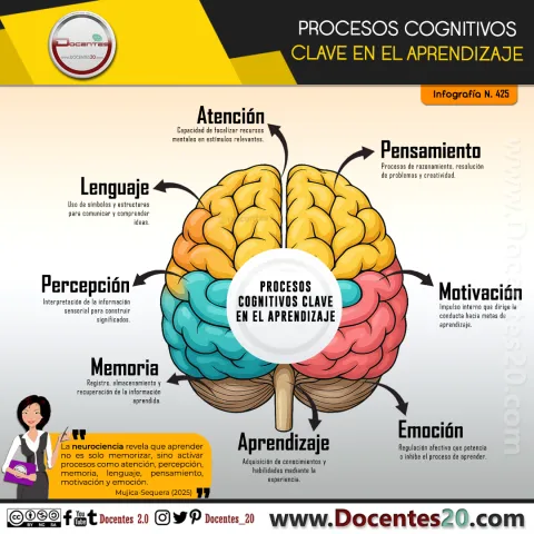 Infografía N.º 425, Procesos cognitivos clave en el aprendizaje